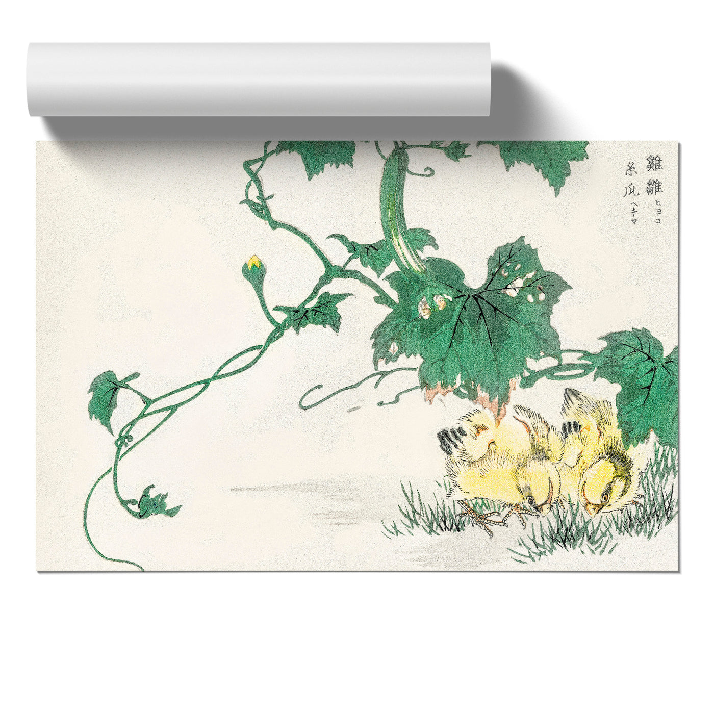 Two Yellow Chicks By Numata Kashu