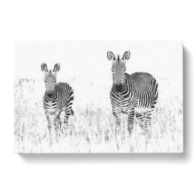 Two Zebras Painting Canvas Print Main Image