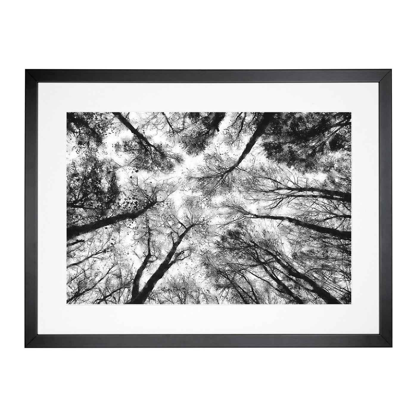 Vaulted Tree Branches
