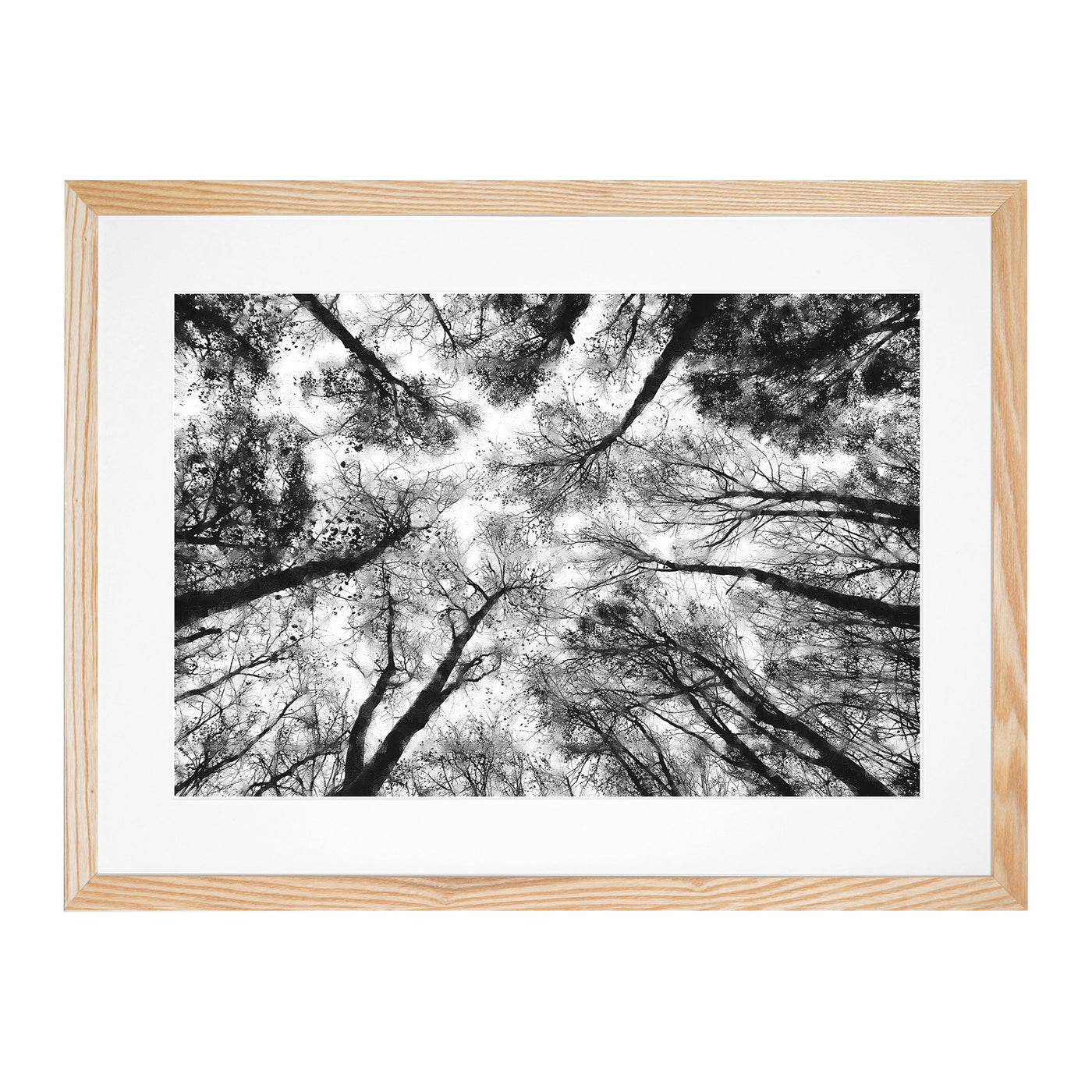Vaulted Tree Branches