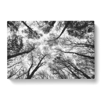 Vaulted Tree Branches Painting Canvas Print Main Image