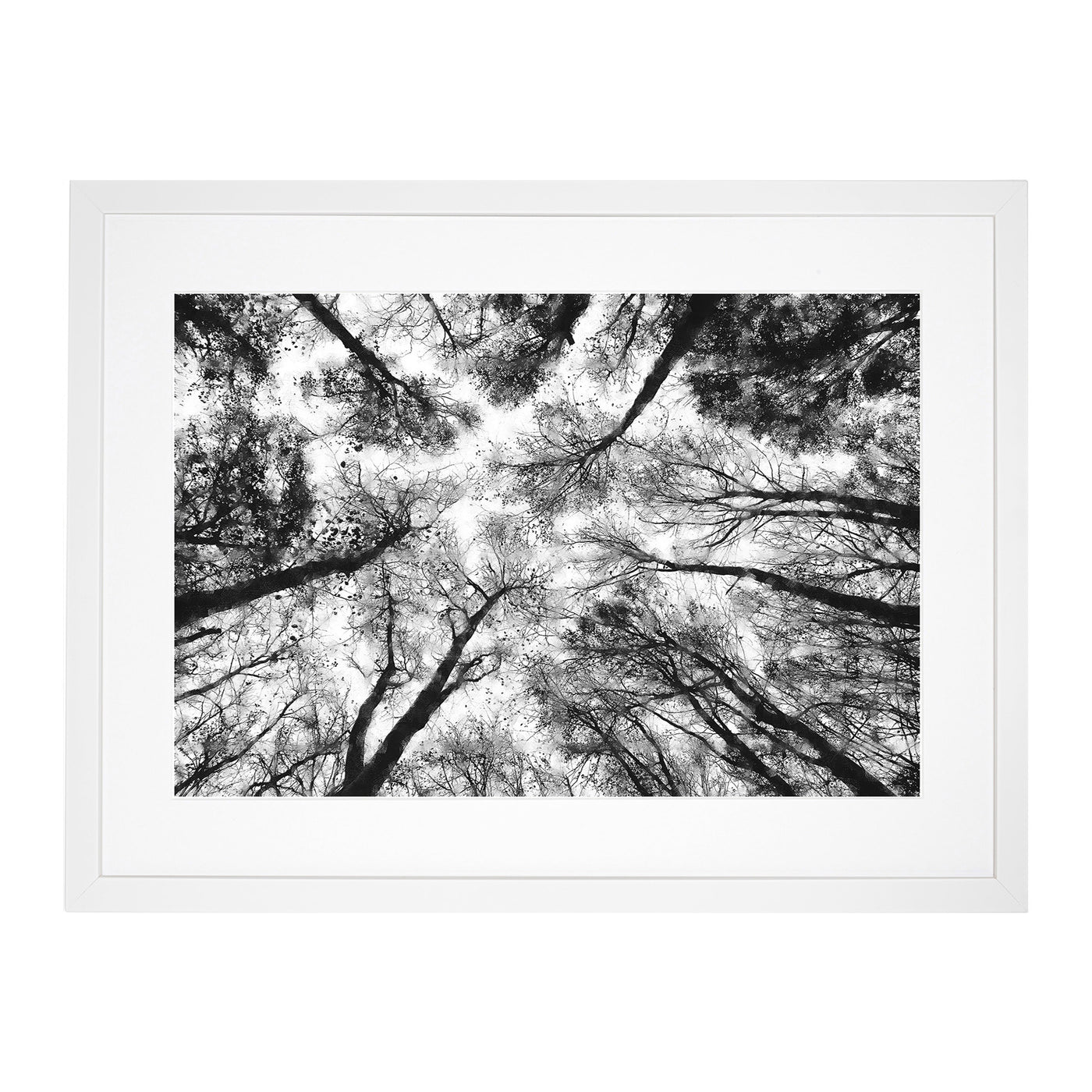 Vaulted Tree Branches