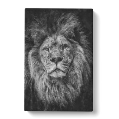 View Of A Lion Painting Canvas Print Main Image
