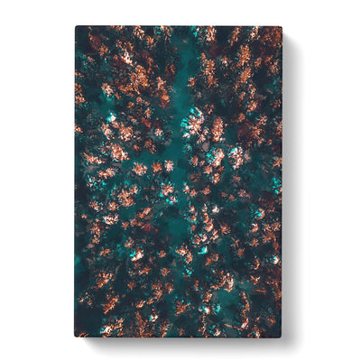 View Of A Forest In Oslo Norway In Abstract Canvas Print Main Image