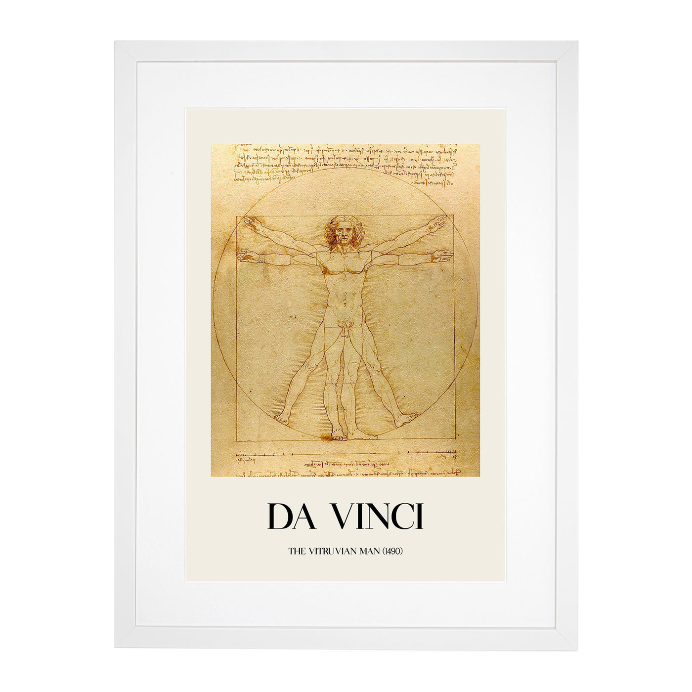 Vitruvian Man Vol.1 Print By Leonardo Da Vinci