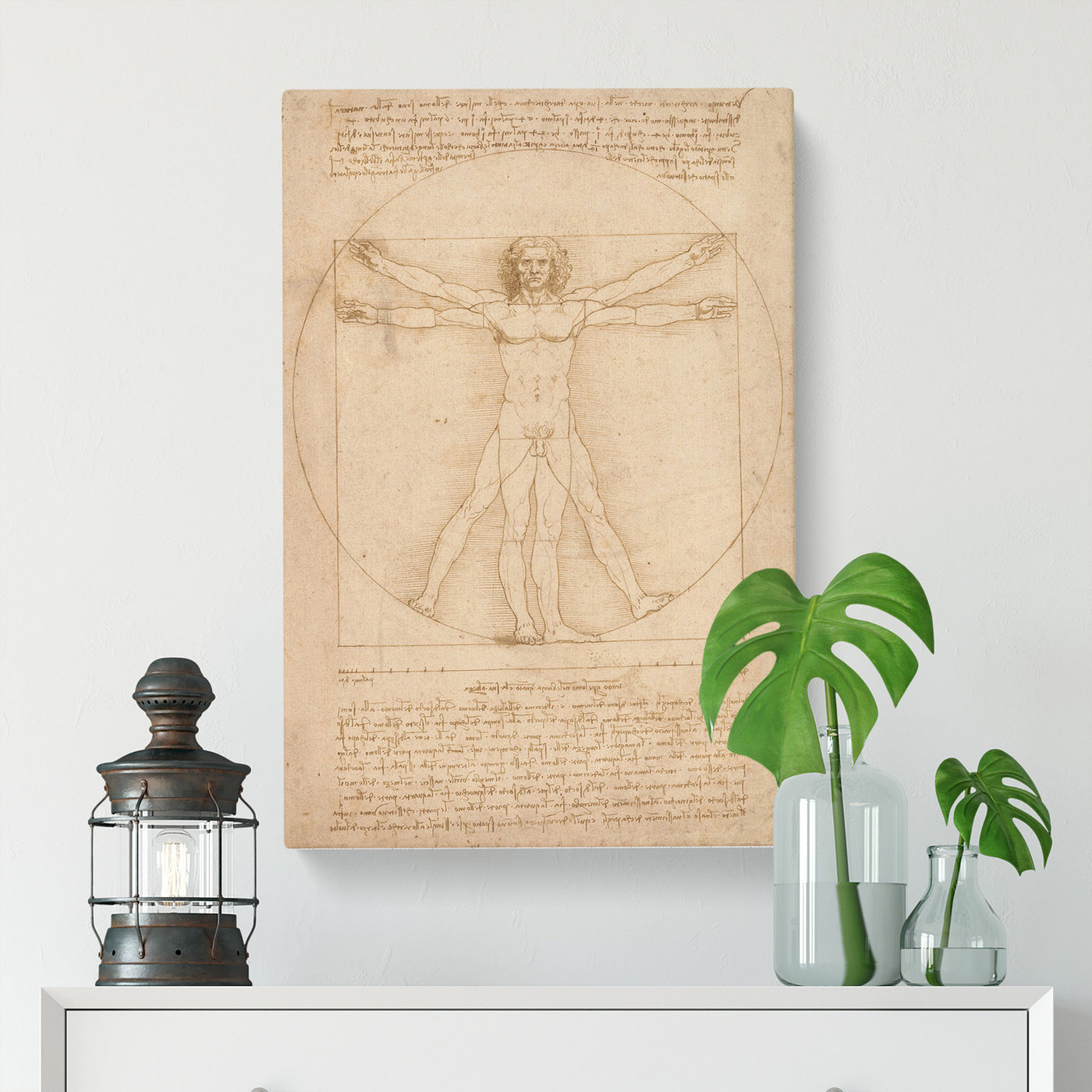 Vitruvian Man Vol.2 by Leonardo Da Vinci