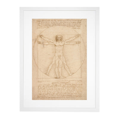 Vitruvian Man Vol.2 By Leonardo Da Vinci