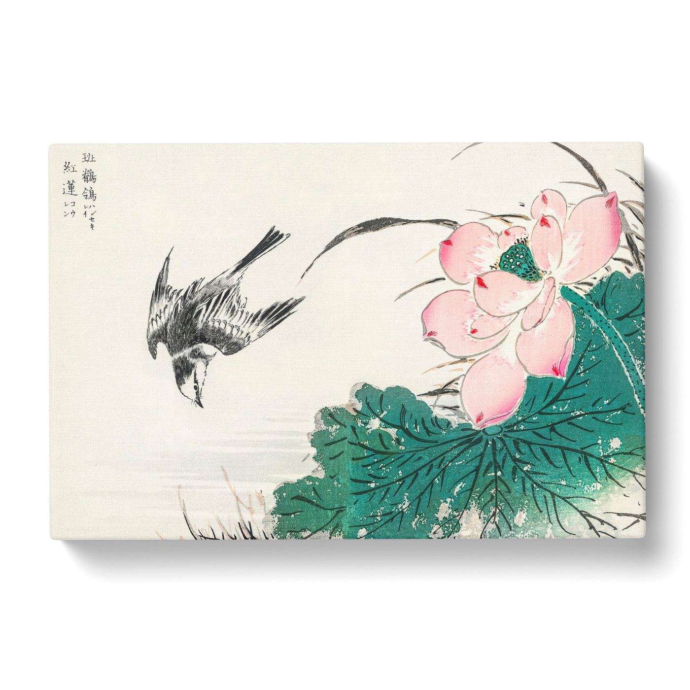 Wagtail Bird & Pink Lotus By Numata Kashu Canvas Print Main Image