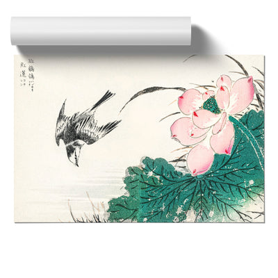 Wagtail Bird & Pink Lotus By Numata Kashu