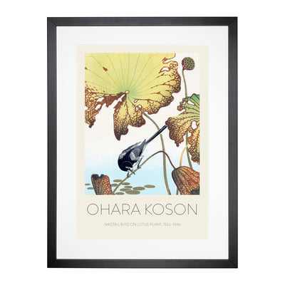 Wagtail Bird On A Lotus Plant Print By Ohara Koson Framed Print Main Image