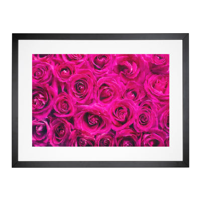 Wall Of Bright Pink Roses