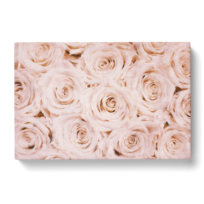 Wall Of Pink Roses Painting Canvas Print Main Image