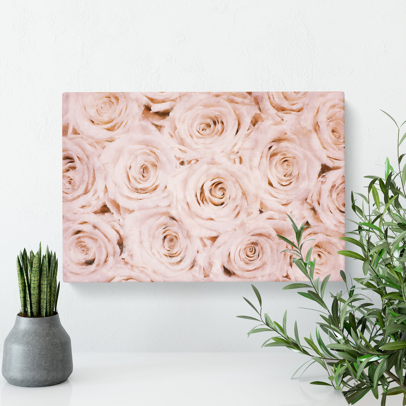 Wall Of Pink Roses