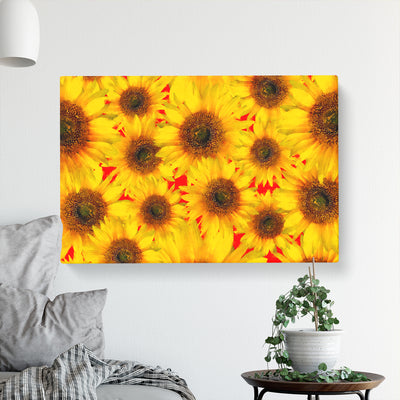Wall Of Yellow Sunflowers