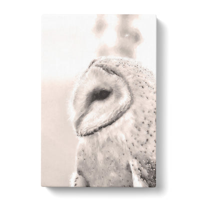 Watchful Barn Owl Bird Canvas Print Main Image