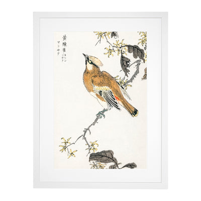 Waxwing Bird & Yellow Flowers By Numata Kashu