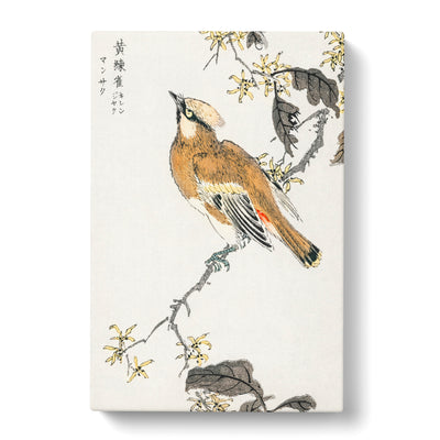Waxwing Bird & Yellow Flowers By Numata Kashu Canvas Print Main Image