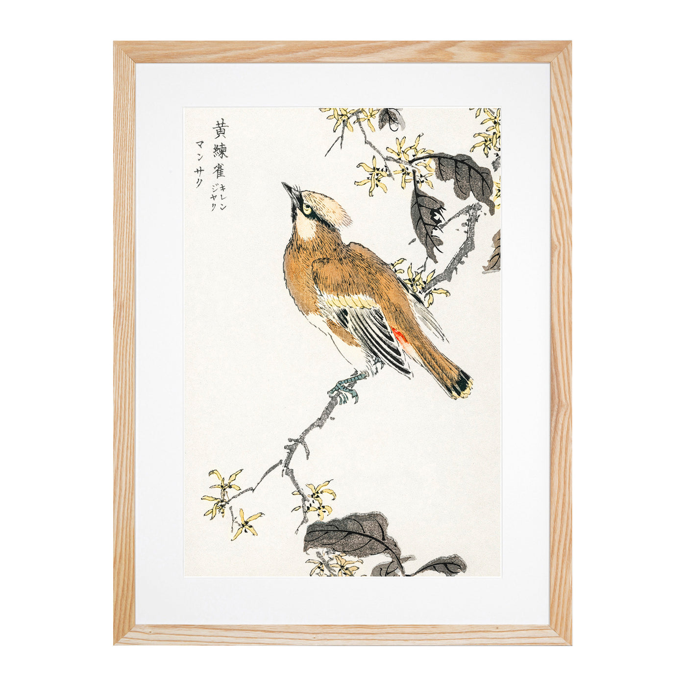 Waxwing Bird & Yellow Flowers By Numata Kashu