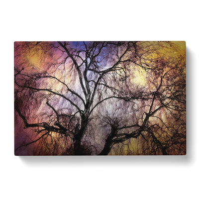 Weeping Willow Tree In Abstract Canvas Print Main Image