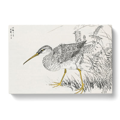 Whimbrel Bird & Wisteria Vine By Numata Kashu Canvas Print Main Image