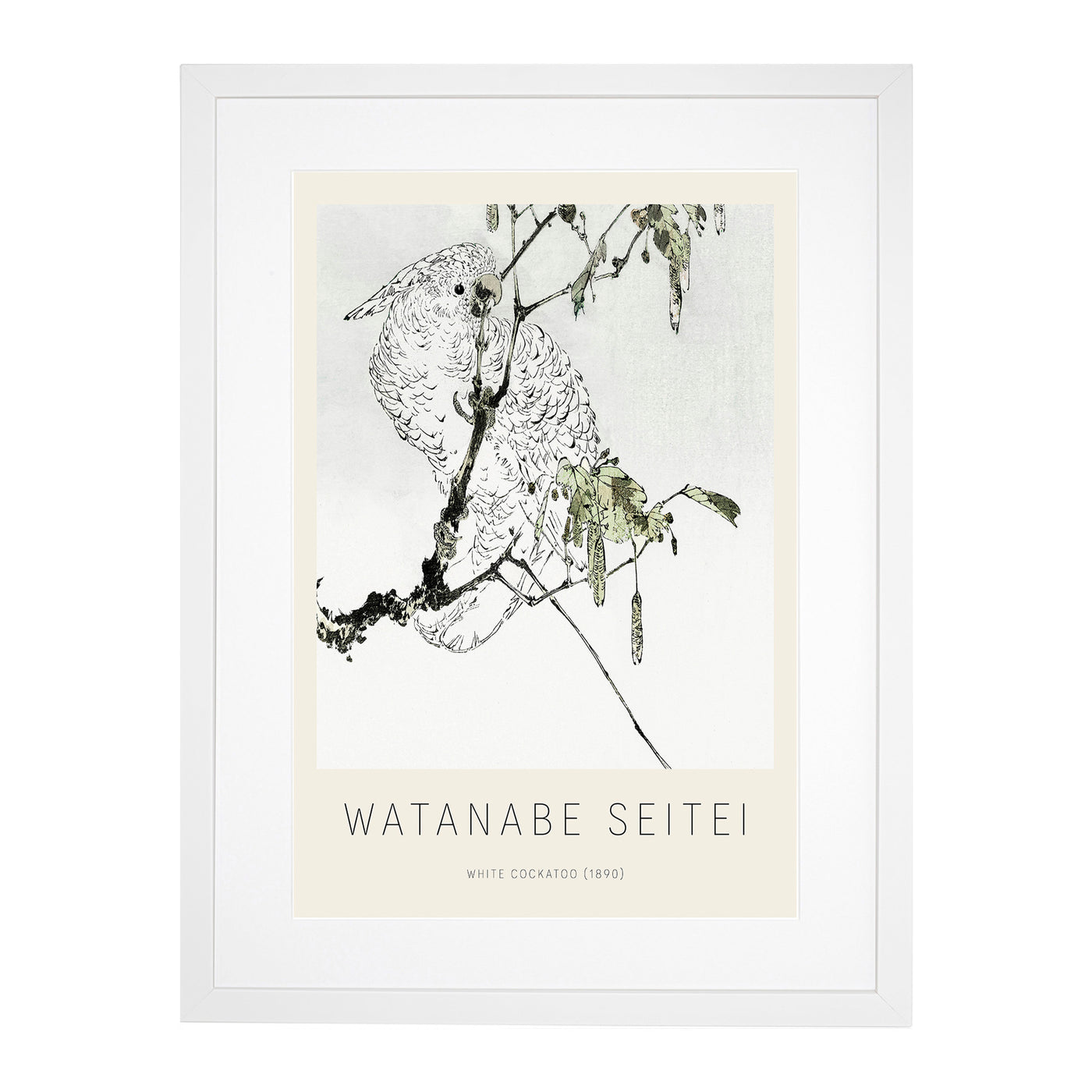 White Cockatoo Print By Watanabe Seitei