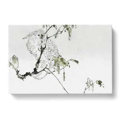 White Cockatoo By Watanabe Seitei Canvas Print Main Image