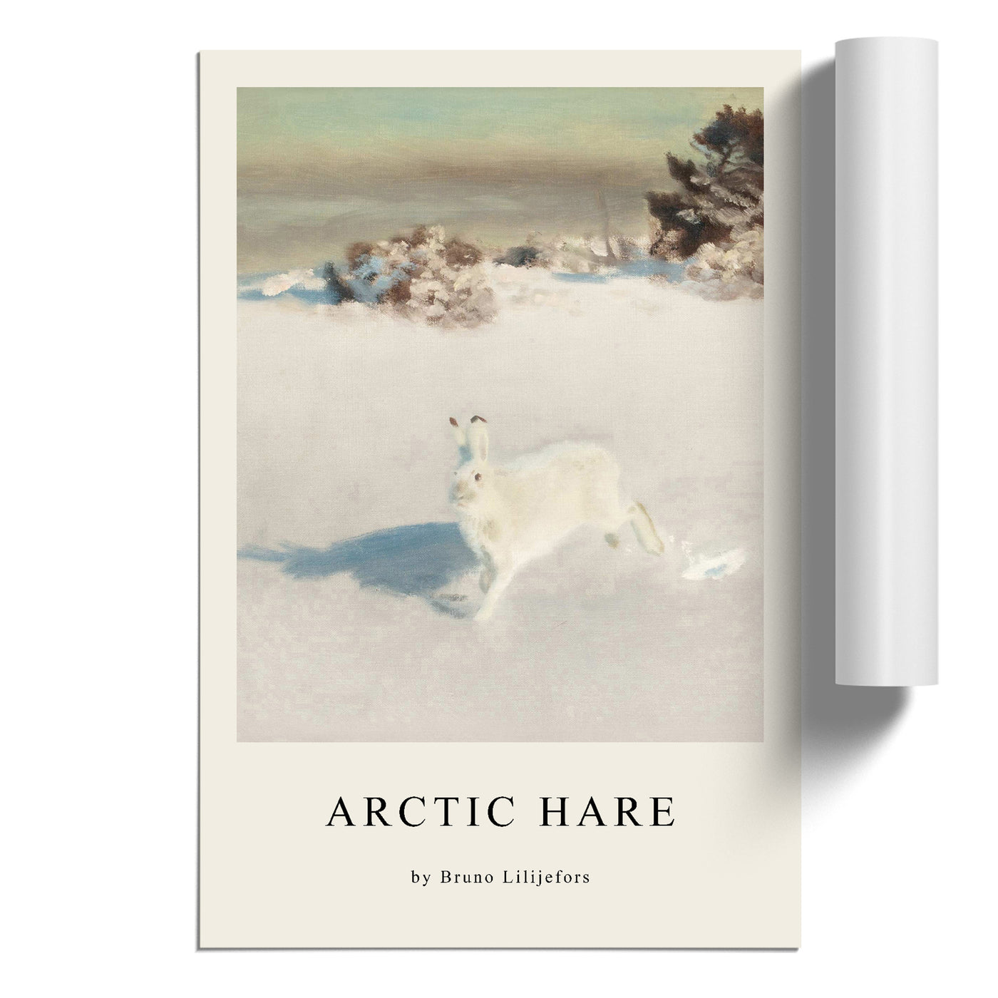 White Hare Vol.5 Print By Bruno Liljefors