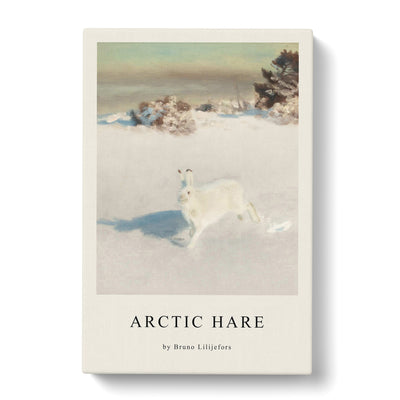 White Hare Vol.5 Print By Bruno Liljefors Canvas Print Main Image