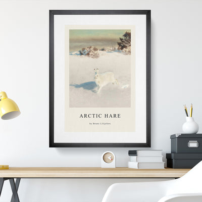 White Hare Vol.5 Print By Bruno Liljefors