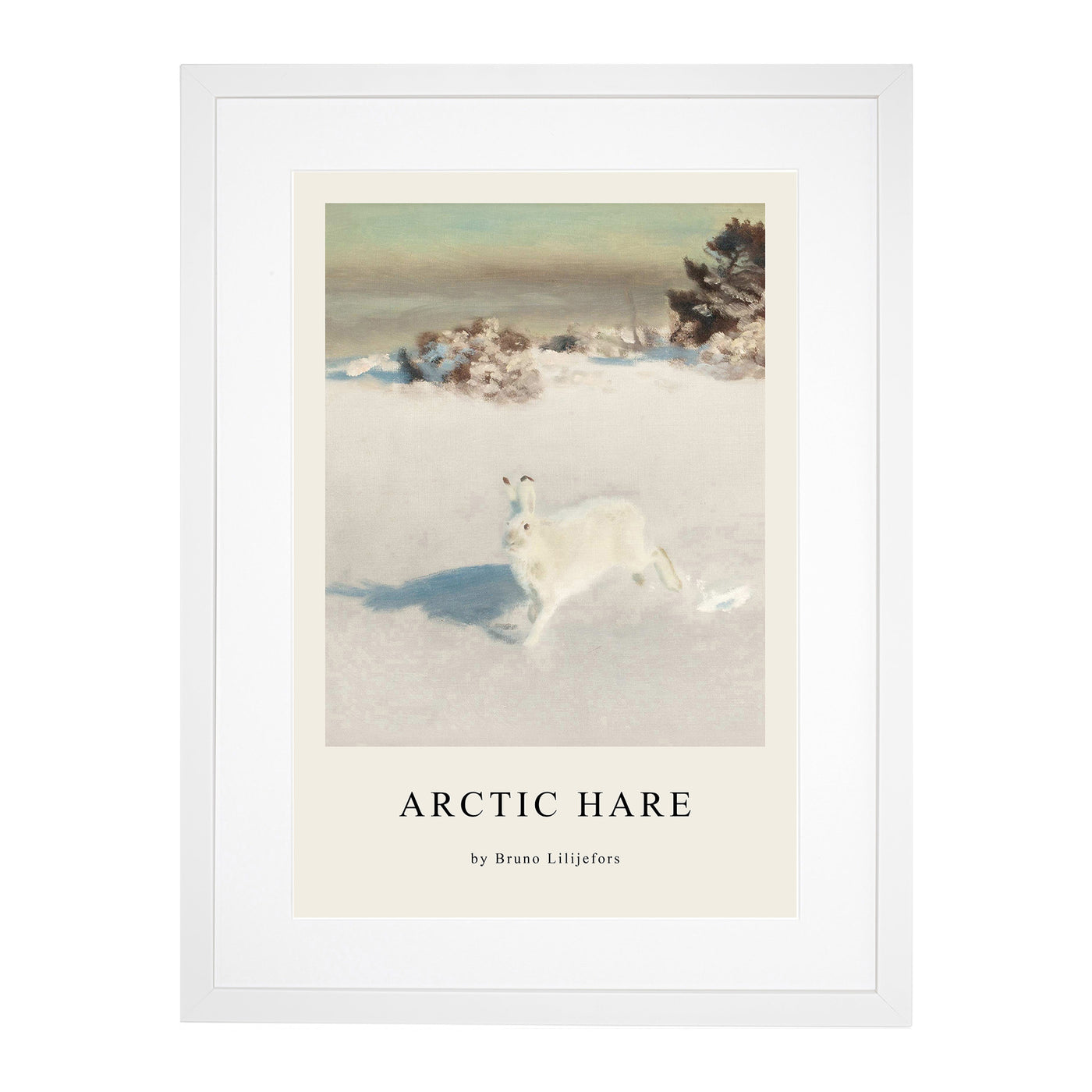 White Hare Vol.5 Print By Bruno Liljefors