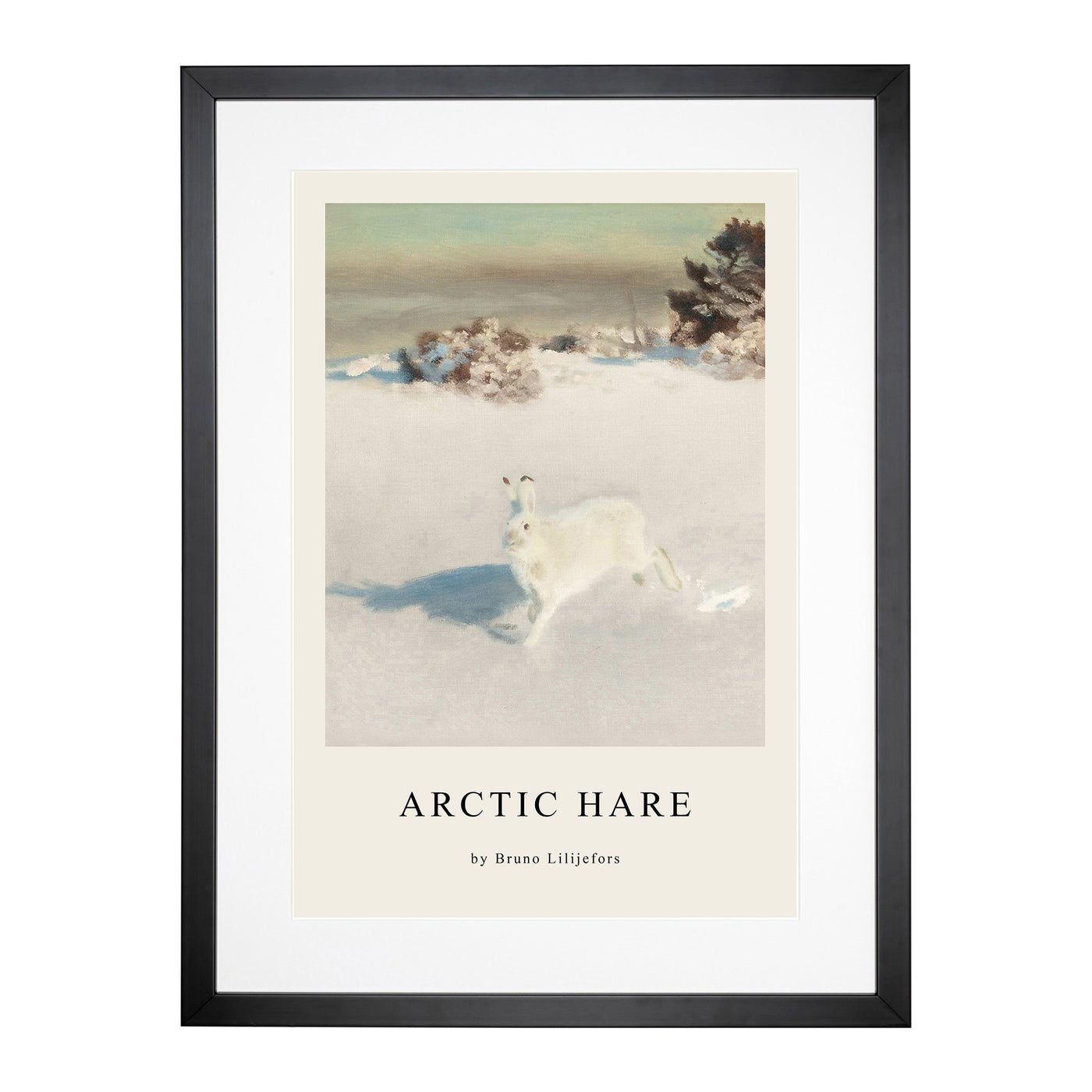 White Hare Vol.5 Print By Bruno Liljefors Framed Print Main Image