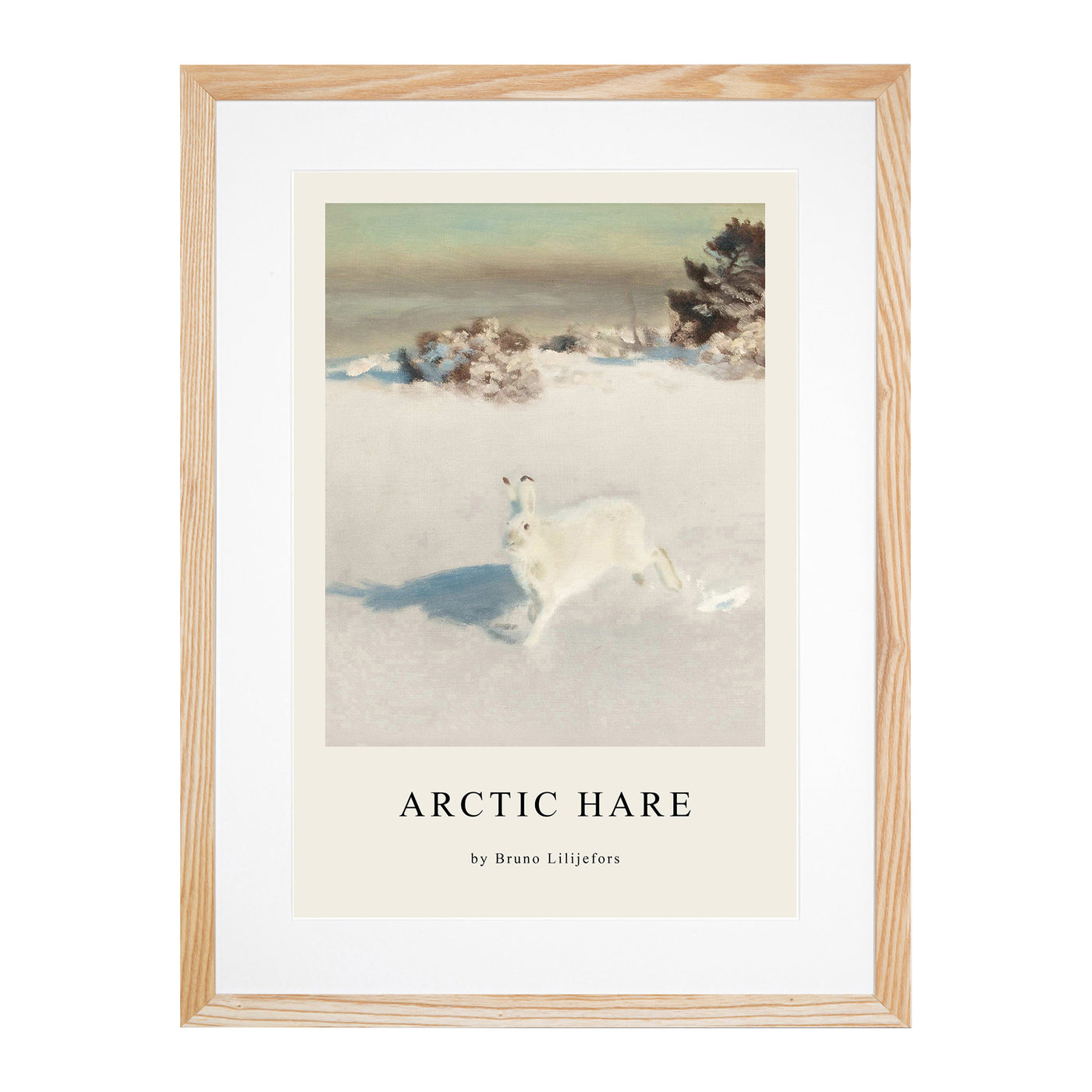 White Hare Vol.5 Print By Bruno Liljefors