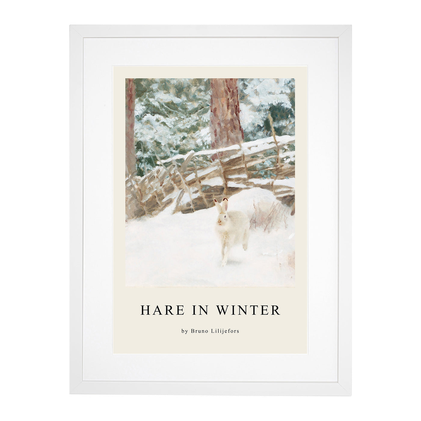 White Hare Vol.7 Print By Bruno Liljefors