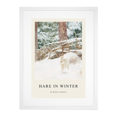 White Hare Vol.7 Print By Bruno Liljefors