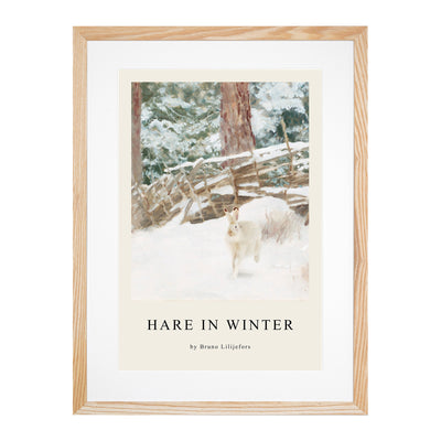 White Hare Vol.7 Print By Bruno Liljefors