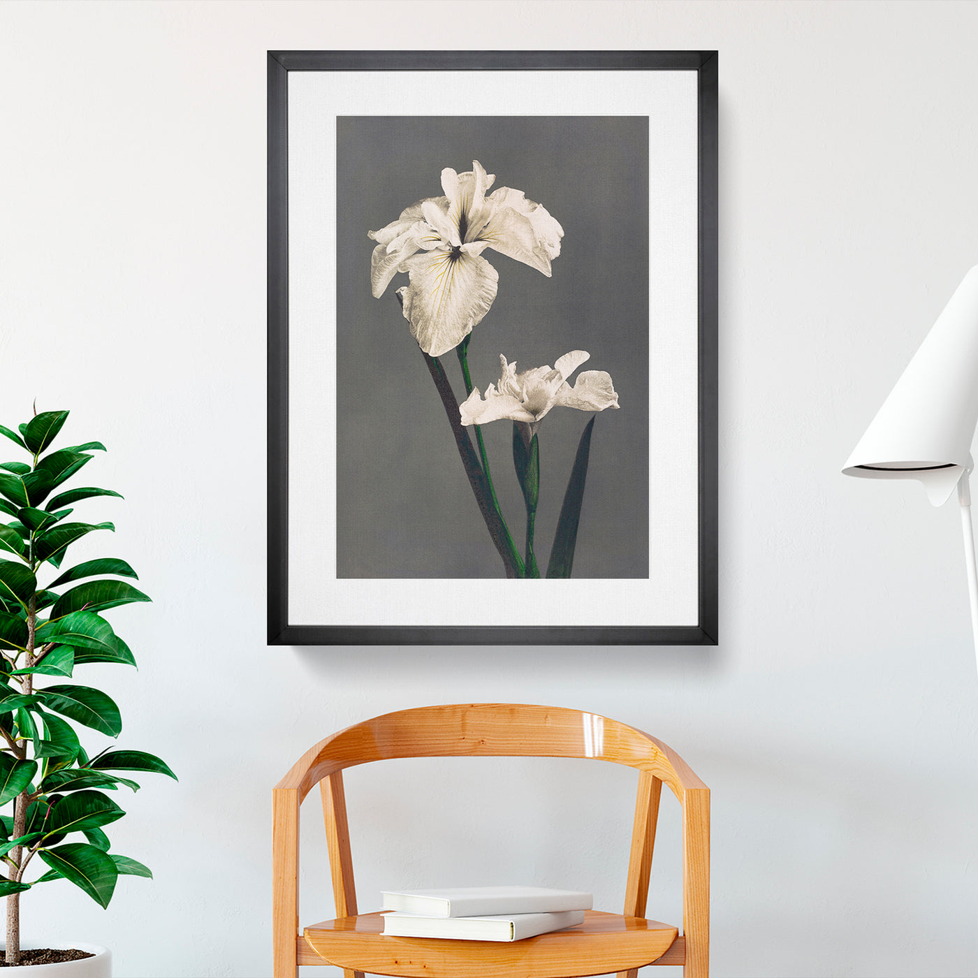 White Iris Flower By Kazumasa Ogawa