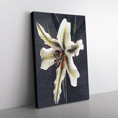 White Lily By Kazumasa Ogawa