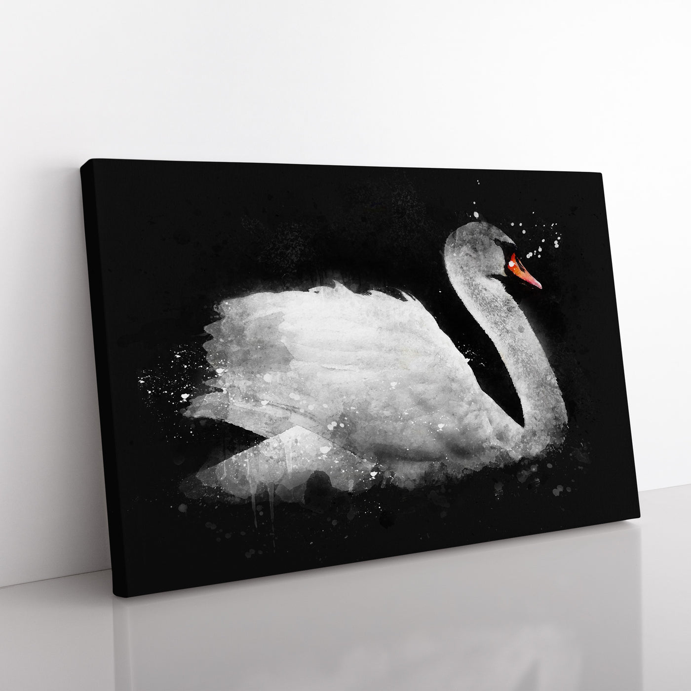 White Swan Swimming