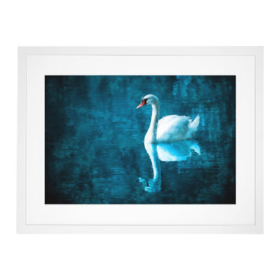 White Swan On A Blue Lake