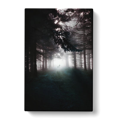 White Wolf In A Forest Canvas Print Main Image
