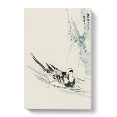 Wild Duck By Numata Kashu Canvas Print Main Image
