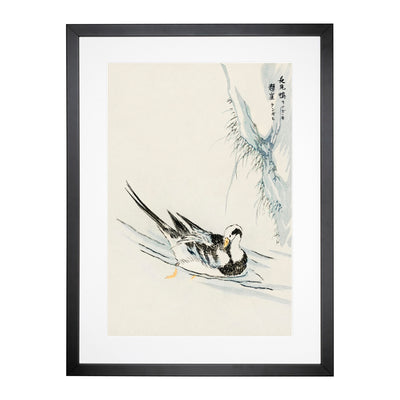 Wild Duck By Numata Kashu