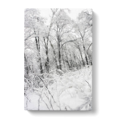 Winter Forest Vol.4 Painting Canvas Print Main Image