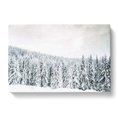 Winter Trees Painting Canvas Print Main Image