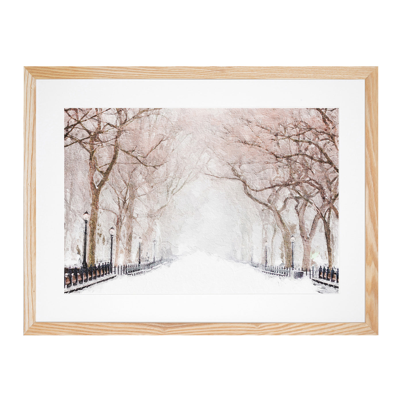 Wintertime In Central Park New York City