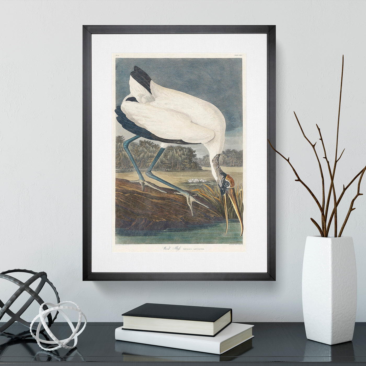 Wood Stork By John James Audubon