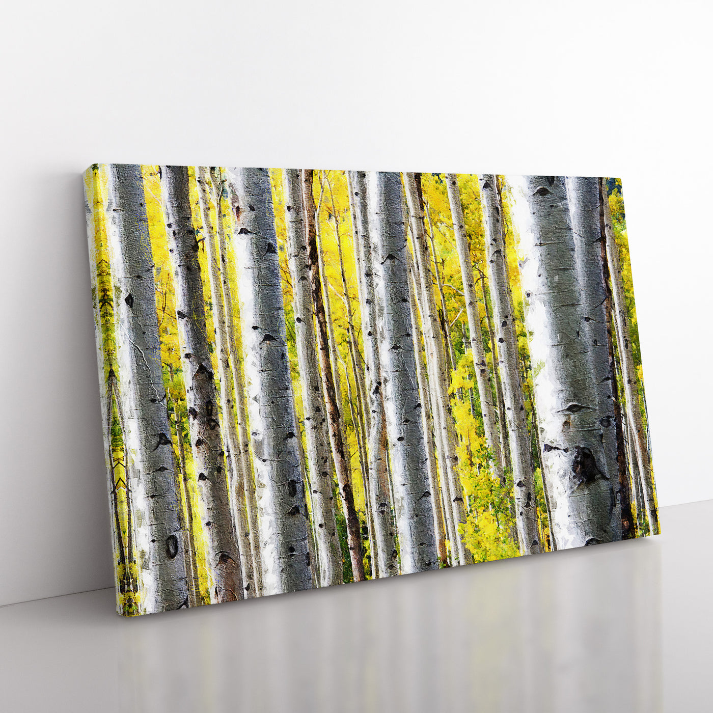 Yellow Birch Tree Forest