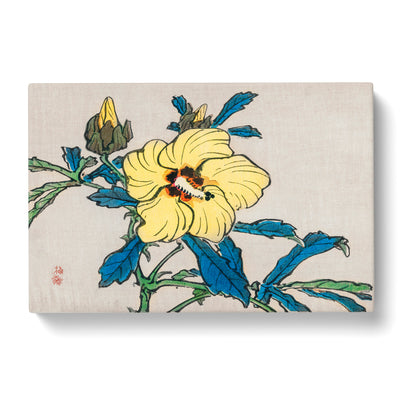 Yellow Hibiscus Flower By Kono Bairei Canvas Print Main Image