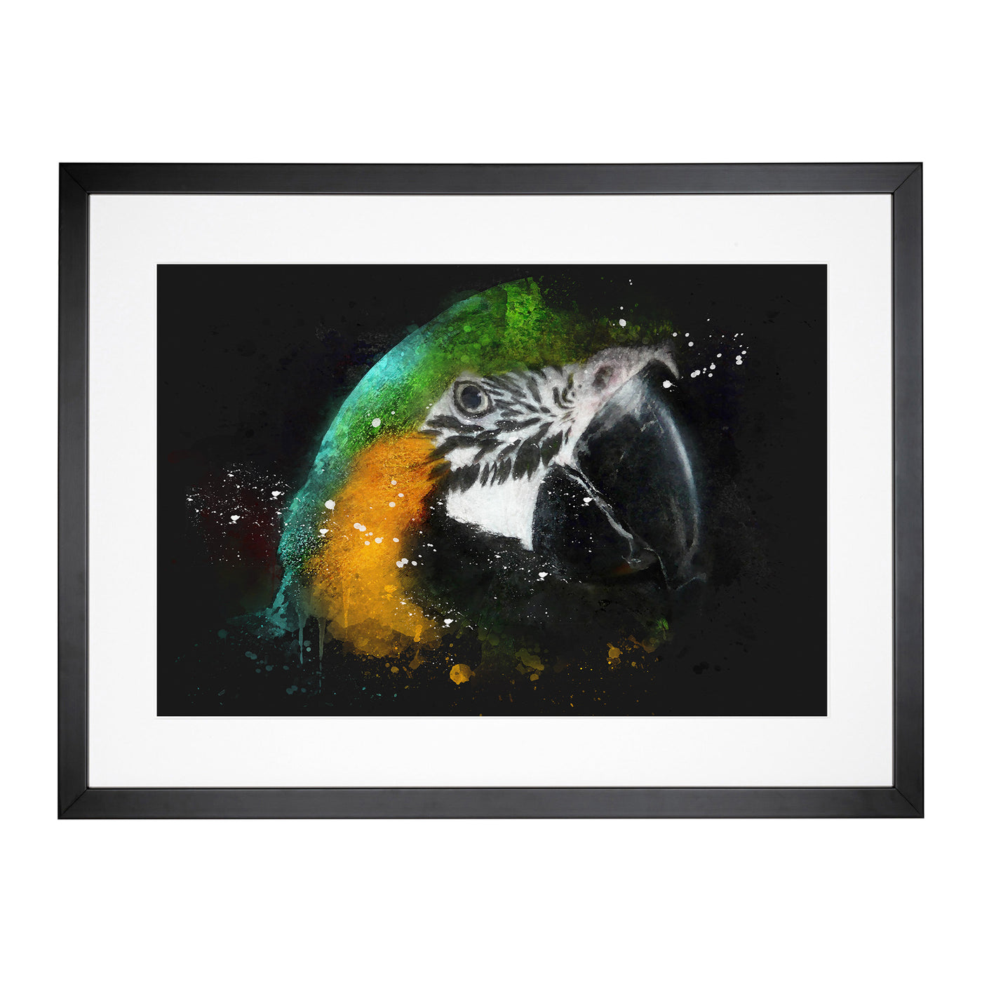 Yellow & Green Macaw Parrot