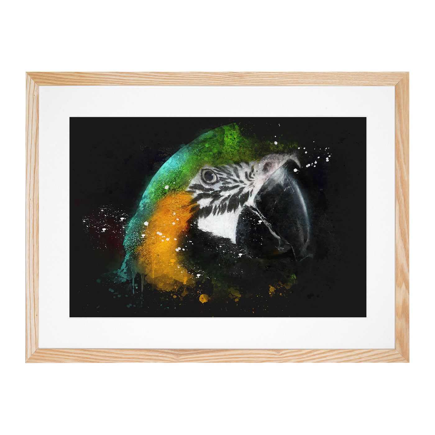 Yellow & Green Macaw Parrot